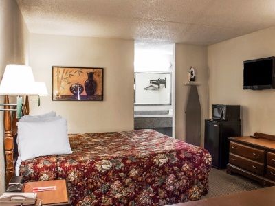 Lodge Econo